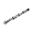 COMP Cams Camshaft Lt1 276HR-14 Cheap